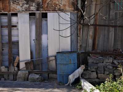 Oggi varcato quel confine si notano ancora i resti dei muri perimetrali della locanda nascosti in un�area ormai adibita a parcheggio fra pezzi di vecchi mobili e gatti randagi